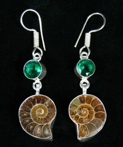 Ammonite Earrings #4556